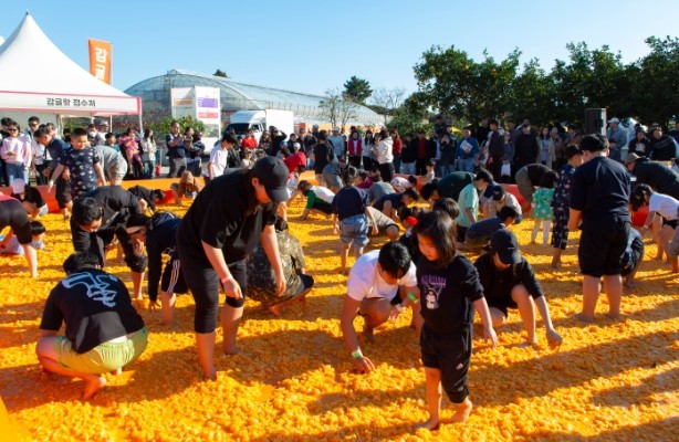 2025 제주감귤박람회, 6.3만 명 참여 속 성황리 폐막