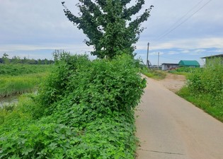 thumbimg