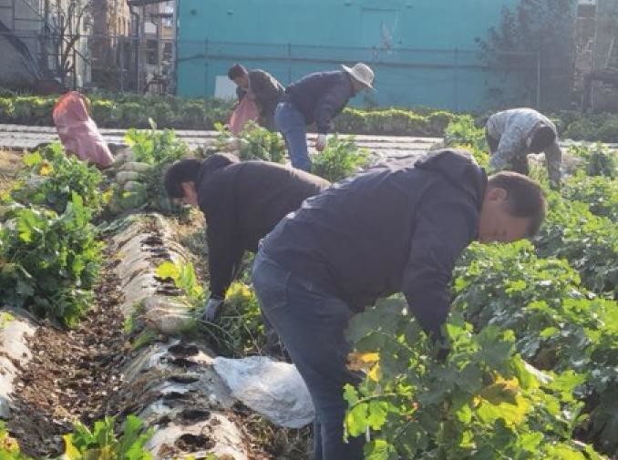 파주시 법원읍 대능5리 김인호 이장,...