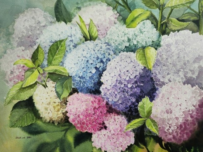 양주시, 붓끝에서 피어난 평생학습, ‘꿈나무 수채화 동아리전’ 개최