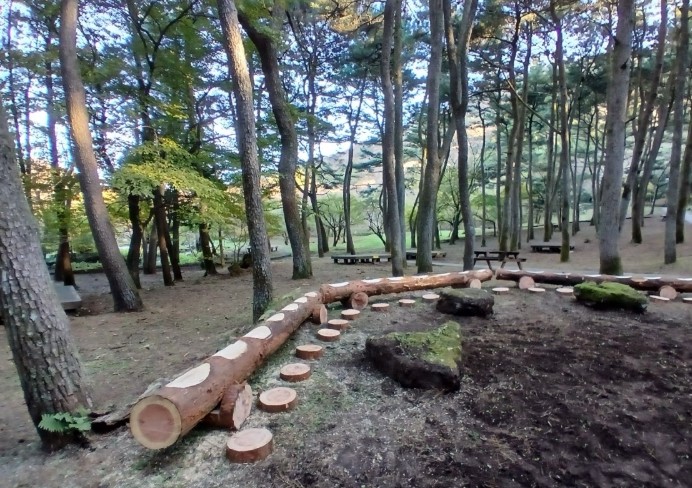 제주시 절물생태관리소, 간벌목 활용 ...