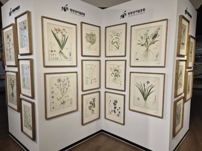 포천시, 한탄강의 아름다운 색채를 담은 압화 전시 개최