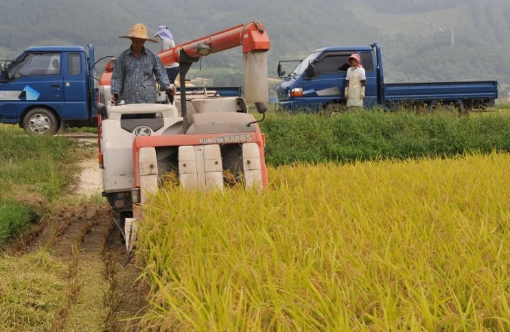 순창군, 친환경 쌀 소비 지원으로 농...
