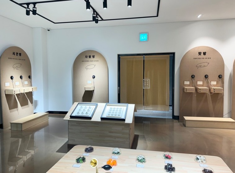 감귤박물관 상설 체험 공간 ‘감귤 감각 저장소’ 조성