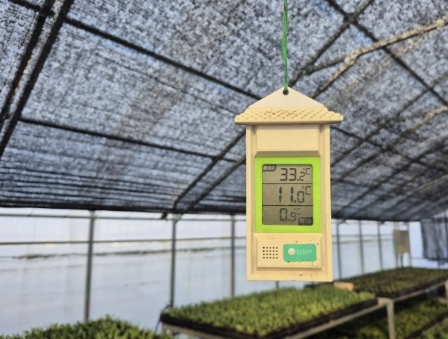 포항시, 올봄 도심 주요 가로 경관 ...