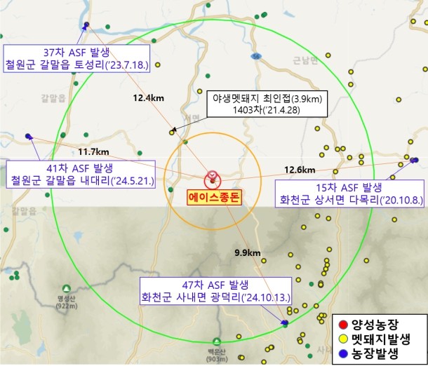 강원 철원 1호 아프리카돼지열병(AS...