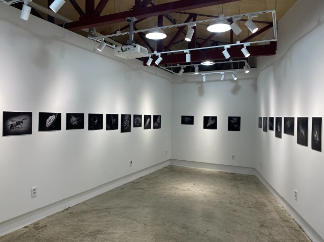 울산동구청년센터, ‘청년 작가 진솔한 개인전’ 개최